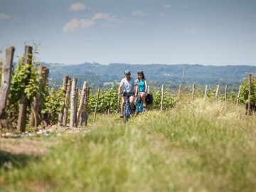 Vallée du Loir - JP Berlose