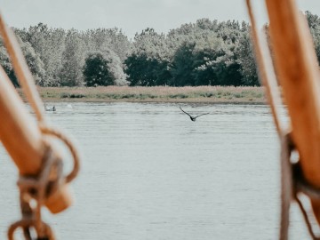 La Batellerie de la Loire - Découvrir la Faune_2 La Batellerie de la Loire