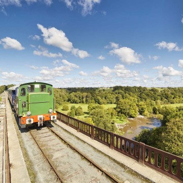 Trenes singulares