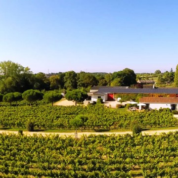 La Table de la Bergerie, un restaurante rodeado de viñedos